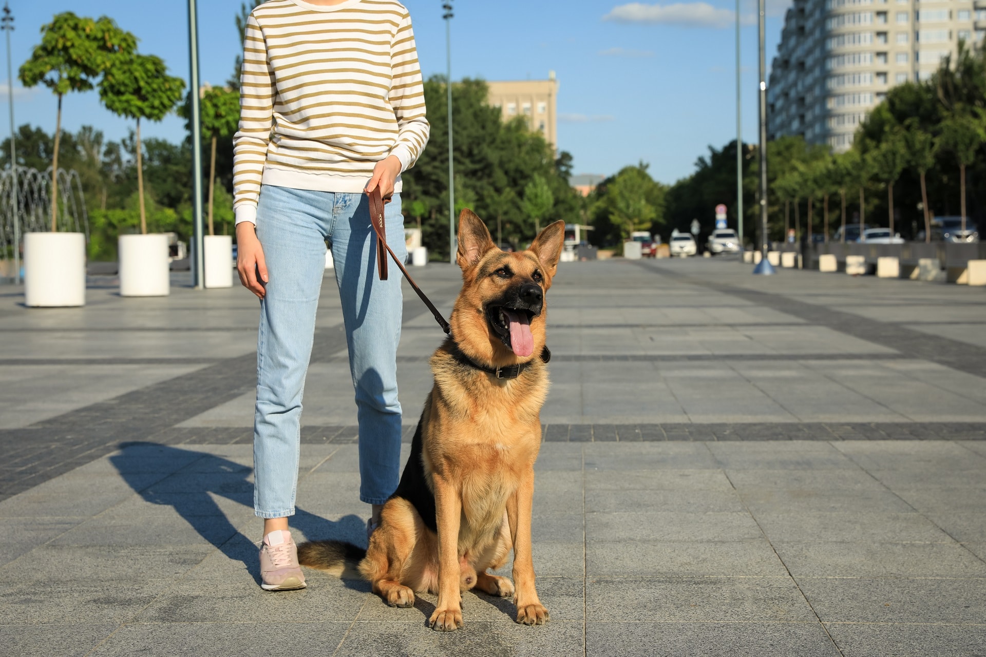 Woman with her dog on city street | leading personal injury law firm nyc | Gash & Associates, P.C.