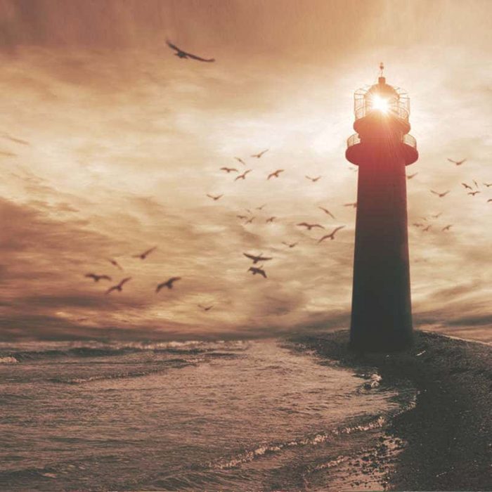 lighthouse at dawn light natural Lighthouse on barren coast with birds circling at dawn